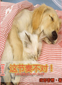 唯愿此生不负你