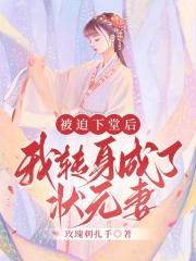 被迫下堂后，我转身成了状元妻