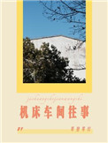 美貌使我一无是处