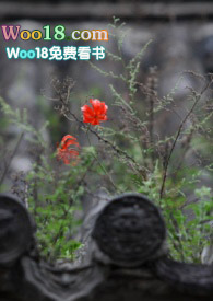 四爷独恋小婢女