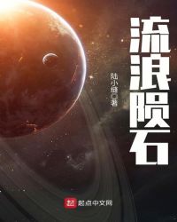 女总裁的终极保镖
