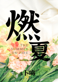 燃夏(男暗恋女)