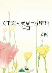 虚实人生