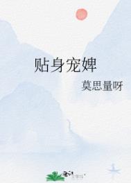 武法武天