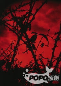 《卿卿我心》（高h）