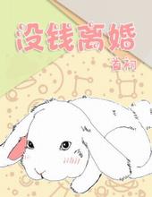 六零之公派丈夫