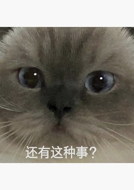 穿书女配上位记（1v1 高H SC）