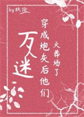 共享玩物（NP）