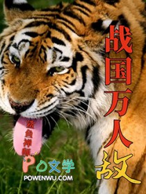 追月光