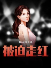 请勿观赏[无限]