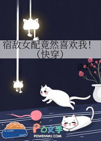 女配的恋综岛屿